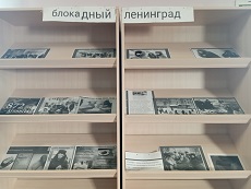27 января 2023 г. Урок мужества: «Час мужества и стойкости героев Ленинграда». Козетская СБ