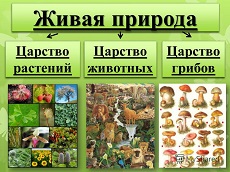 20 апреля 2023 г. Час экологии «Земля у нас только одна». ЭГБ №1