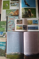 30 июля 2024 г. Выставка-обзор «Красная книга родного края». Козетская СБ
