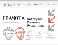  14 ноября 2024 г. Участие в финальном этапе «Культурного микрофона». Старобжегокайская СБ