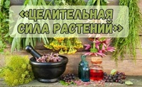 22 мая 2026 г. Час информации «Целительная сила растений». Отрадненская СМБ